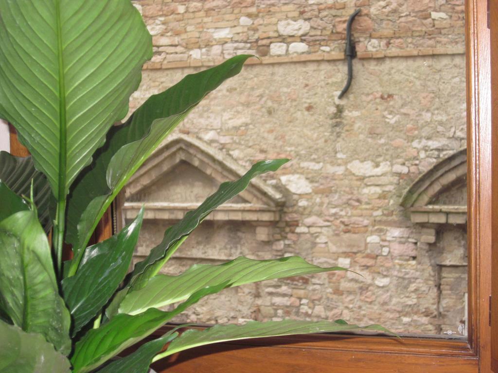 Helios Assisi Hotel Стая снимка